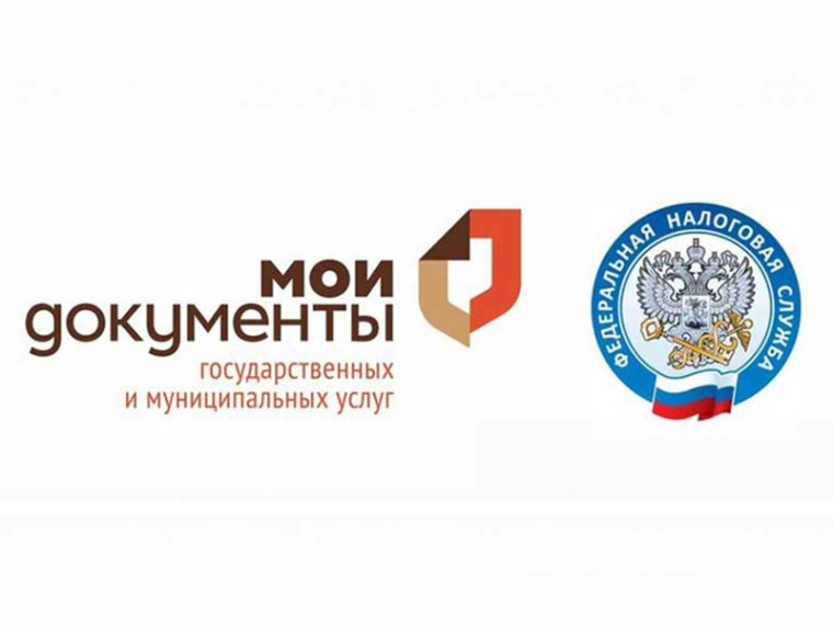 Получить услуги налоговой службы можно в МФЦ и на сайте ФНС России!.