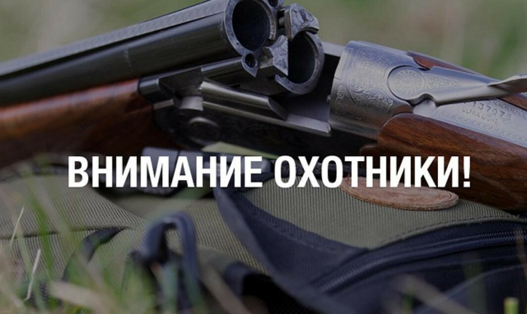 Внимание, охотники!.
